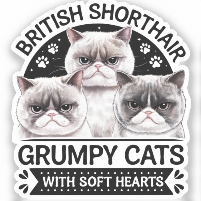 British Shorthair Grumpy Cats Aufkleber (Vorderseite)