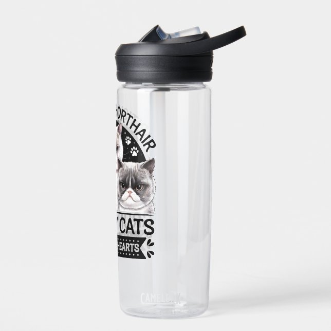 British Shorthair Grumpy Cats Trinkflasche (Links)