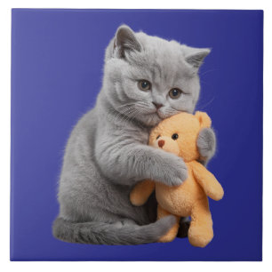 British Shorthair Kitten und Teddy Bären dekorativ Fliese