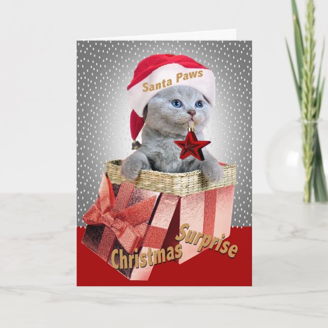 British Shorthair Kitten Weihnachtskarten Feiertagskarte (Vorderseite)