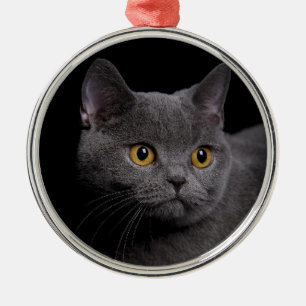 British Shorthair Premium Ornament Aus Metall