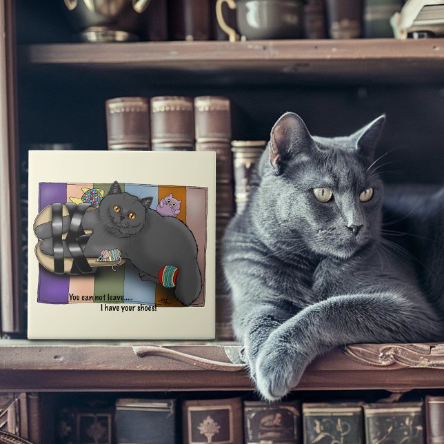 British Shorthair Sandals Funny Niedlich Fliese (Von Creator hochgeladen)