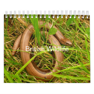 British Wildlife Calendar Kalender