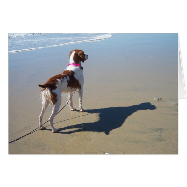 BRITTANIE AM STRAND (Vorderseite (Horizontal))