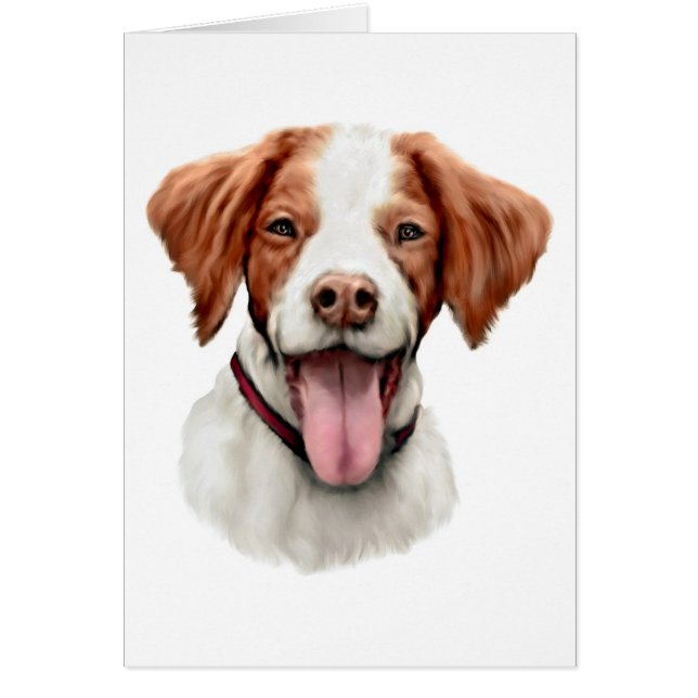 Brittany Bust (Vorne)