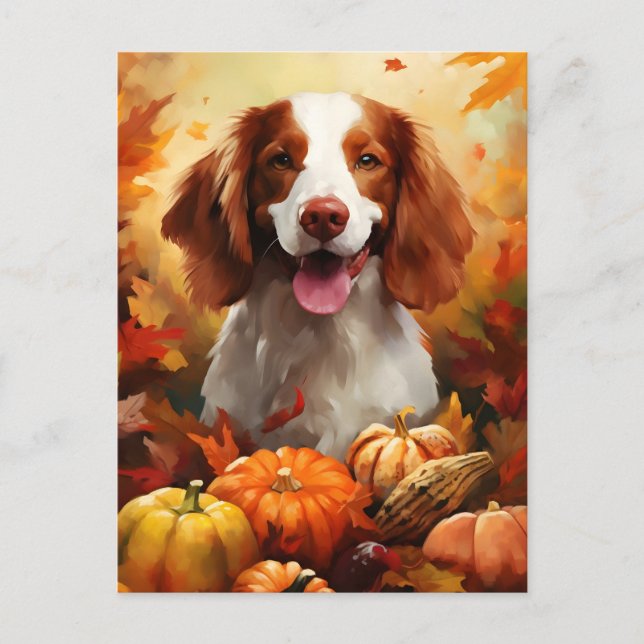 Brittany dog Herbst Erntedank Postkarte (Vorderseite)