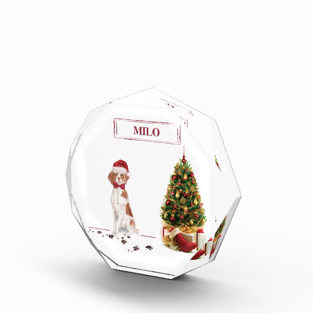 Brittany Funny Christmas Dog and Tree Fotoblock (Rechts)