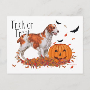 Brittany Halloween Postkarte