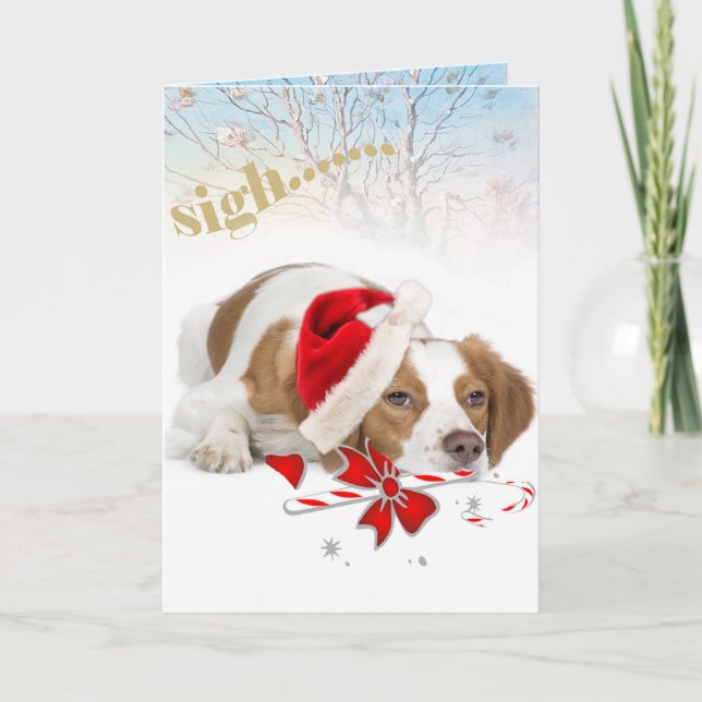 Brittany Santa nimmt so lange Karten (Vorderseite)