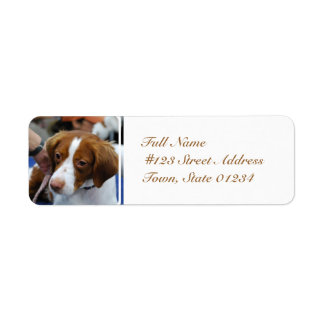 Brittany Spanel Mailing Labels