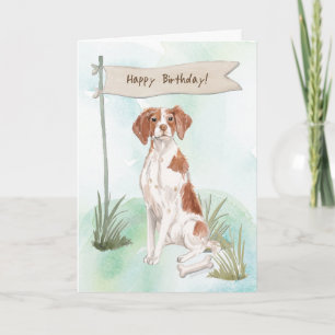 Brittany Spaniel Dog Under Birthday Sign Karte
