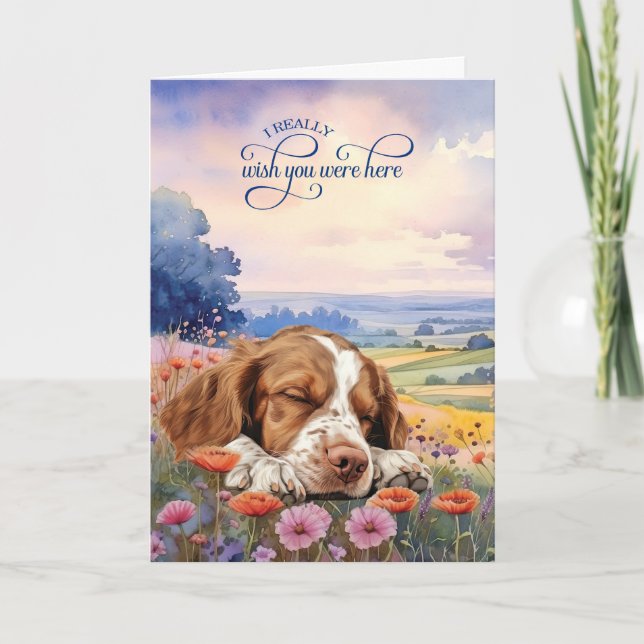 Brittany Spaniel Dog Wildflowers Miss You Karte (Vorderseite)