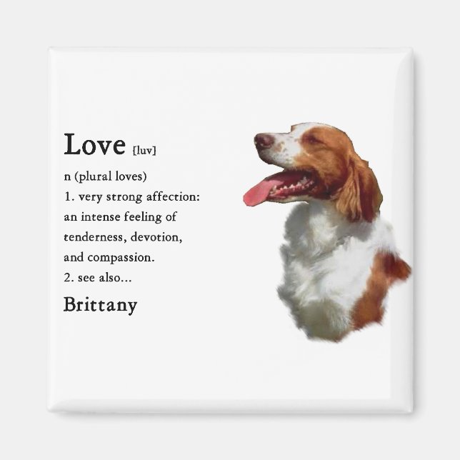 Brittany Spaniel Geschenke Magnet (Vorne)