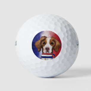 Brittany Spaniel  Golfball