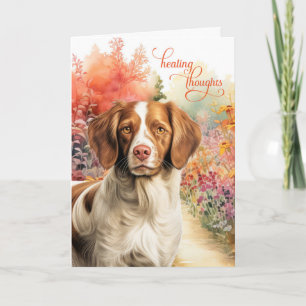 Brittany Spaniel Hund Bunter Gartenweg Gute Besser Karte