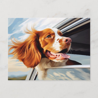 Brittany Spaniel im Autofenster Postkarte