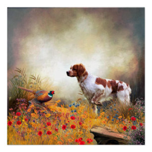 Brittany Spaniel, Jagdparasant Poster