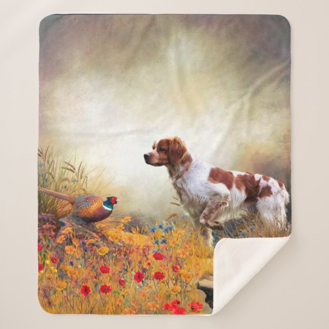 Brittany Spaniel, Jagdparasant Sherpadecke (Vorderseite)