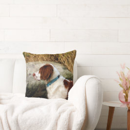 Brittany Spaniel - Kupfer Kissen
