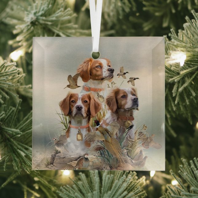 Brittany Spaniel , Leidenschaft für Vögel Ornament Aus Glas (Insitu)