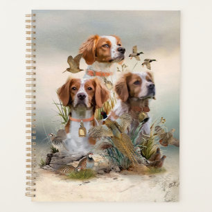 Brittany Spaniel , Leidenschaft für Vögel Planer