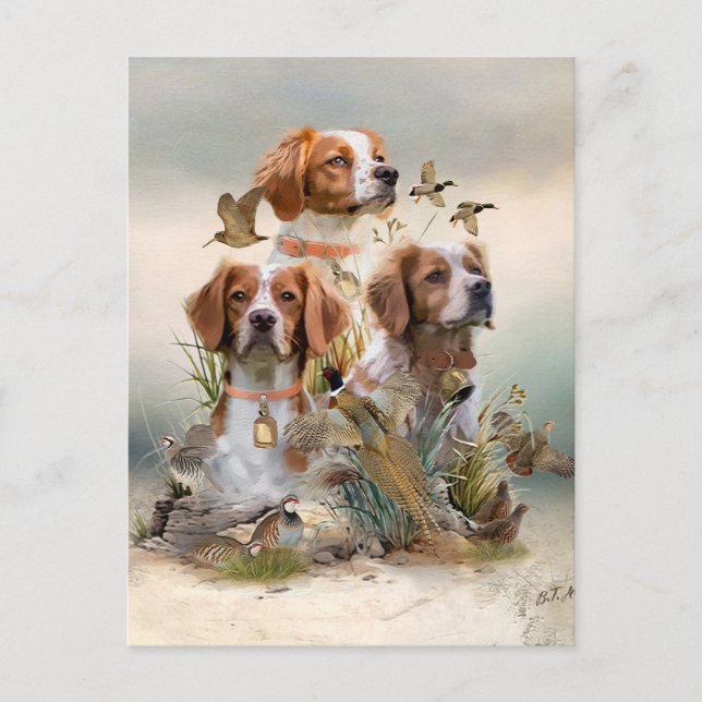 Brittany Spaniel , Leidenschaft für Vögel Postkarte (Vorderseite)