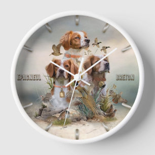 Brittany Spaniel , Leidenschaft für Vögel Uhr