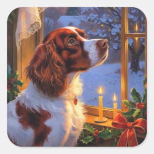Brittany Spaniel mit Weihnachtsbeleuchtung Feierta Quadratischer Aufkleber