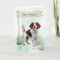 Brittany Spaniel Rasse Hund unter Geburtstagszeich