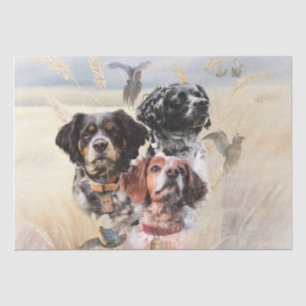 Brittany Spaniel Seidenpapier