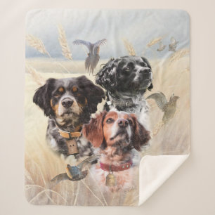 Brittany Spaniel Sherpadecke