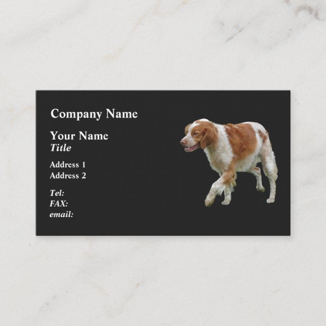Brittany Spaniel Visitenkarte (Vorderseite)