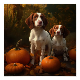 Brittany Spaniel Welpe Herbstfreude Kürbis Poster