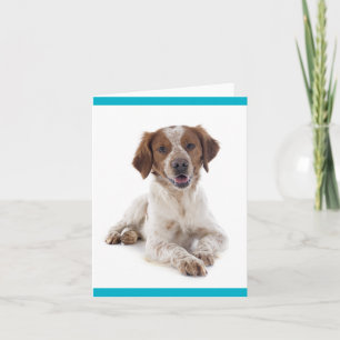 Brittany Spaniel Welpen-Hund Leere Karte