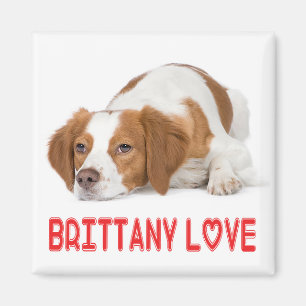 Brittany Spaniel Welpen-Hundeliebe-Magnet Magnet