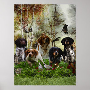 Brittany Spaniels,   Vogeljagd  Poster