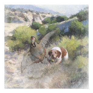Brittany Spanisch Jagdchukar-Partridge, Art Fotodruck