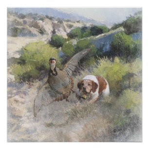Brittany Spanisch Jagdchukar-Partridge, Art Poster