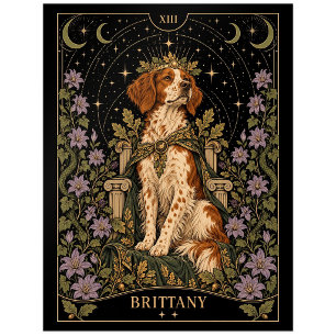 Brittany, Sternen-Tarot-Kunst Postkarte