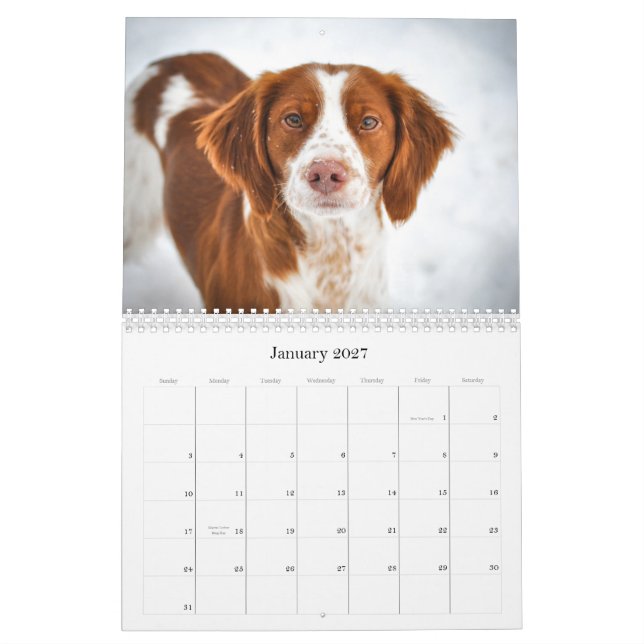 Brittanys Kalender (Jan 2027)