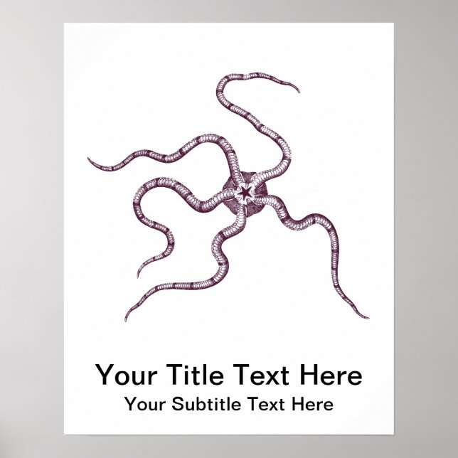 Brittle Star - Serpent Star - Meeresbiologie Poster (Vorne)