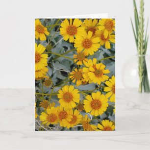 Brittlebush Blume Grußkarte_benutzerdefinierbar Karte