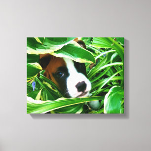 Brix - Ihr Lieblings-Haustierfoto auf Leinwand
