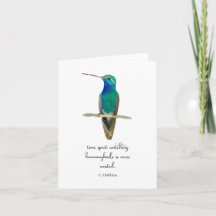 Broad-billed Hummingbird