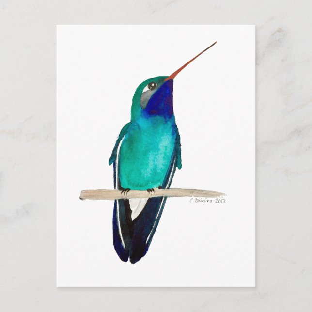 Broad-billed Hummingbird Postkarte (Vorderseite)