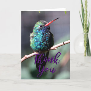 Broadbiled Hummingbird Foto Danke-Card Dankeskarte