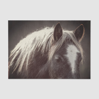 Broadfoot Colt Seidenpapier