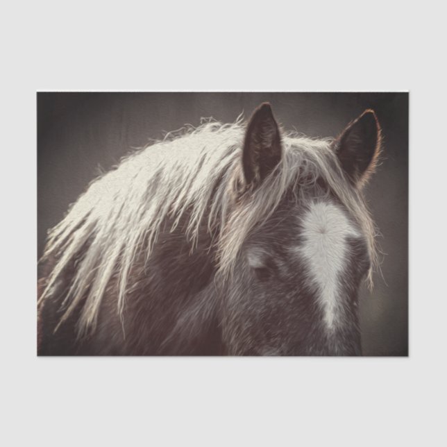 Broadfoot Colt Seidenpapier (Vorderseite)