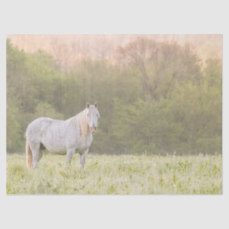 Broadfoot Mare Seidenpapier