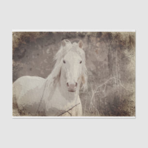 Broadfoot Stallion 18 ob. Dekopapier Seidenpapier